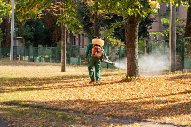 Professional Pest Control in Rogersville, AL