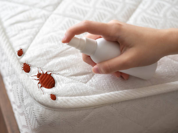 Best Exterminator Services  in Rogersville, AL